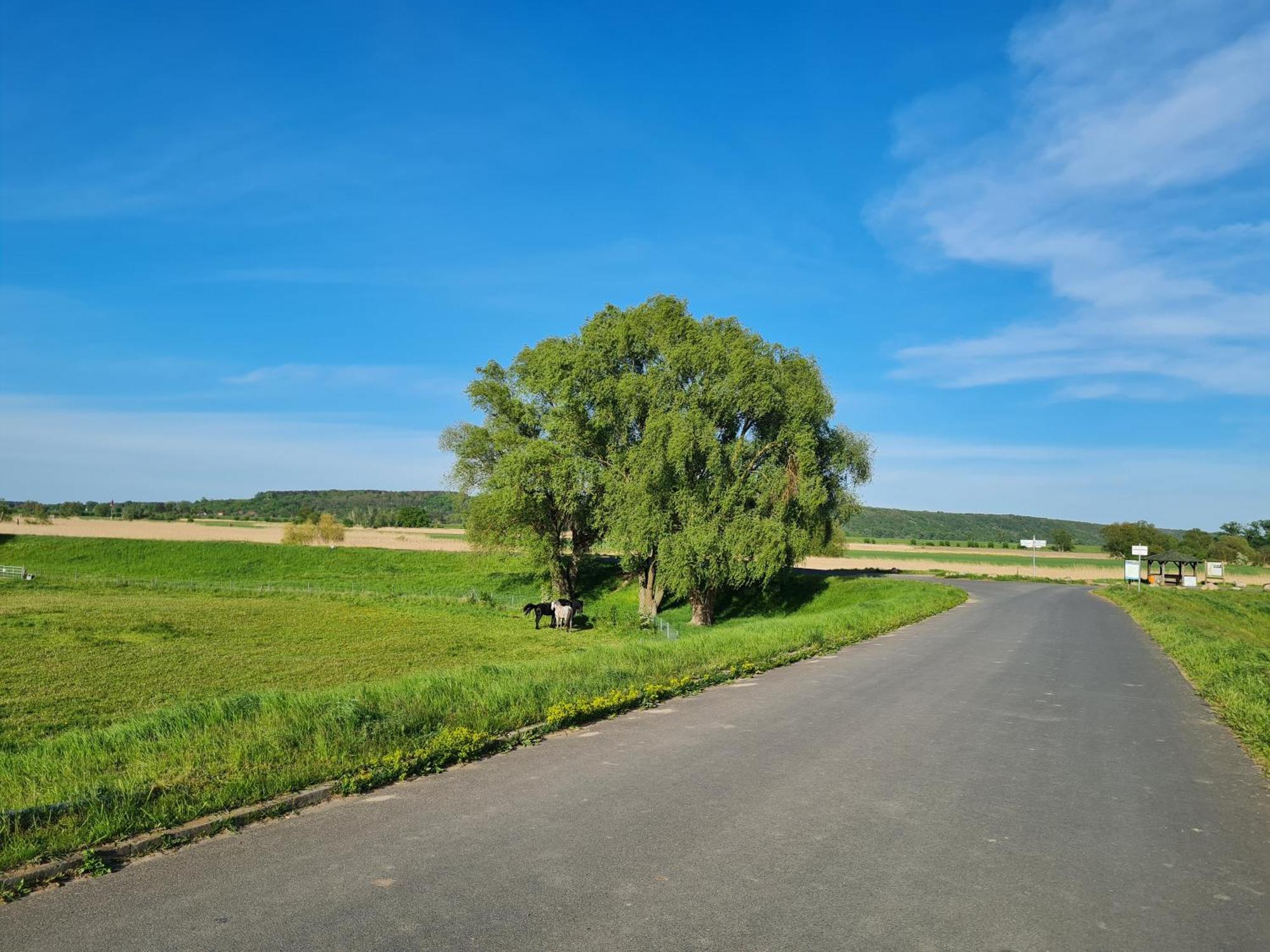 Ferienwohnungen Stolzenhagener 7 Lunow-Stolzenhagen Екстер'єр фото